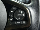 ◆アダプティブクルーズコントロール◆予め設定した車速内でクルマが自動的に加減速。前走車との適切な車間距離を維持しながら追従走行します。【LKAS】車線維持支援システムでステアリング操作を支援。