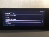 メーカーオプションのフルセグTVチューナー付です!