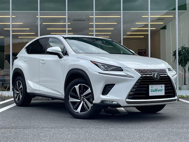 NX 300 Iパッケージ 4WD 修復歴無し