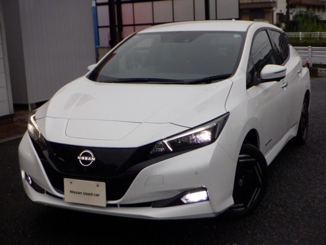 リーフ e+ X 