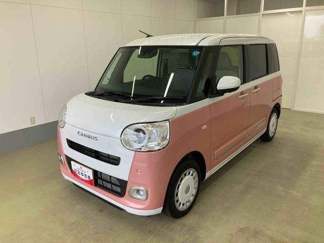 ムーヴキャンバス  ストライプス G