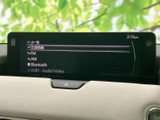 CDやBluetooth接続など、多彩なソースに対応。お好みの音楽を楽しめる環境が整っています。長距離移動も快適に。