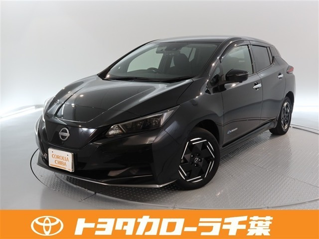 リーフ e+ X