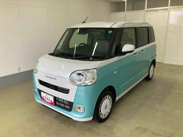 ムーヴキャンバス  ストライプス G