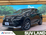 サンルーフ メーカーナビ バックカメラ 100V電源 衝突軽減システム