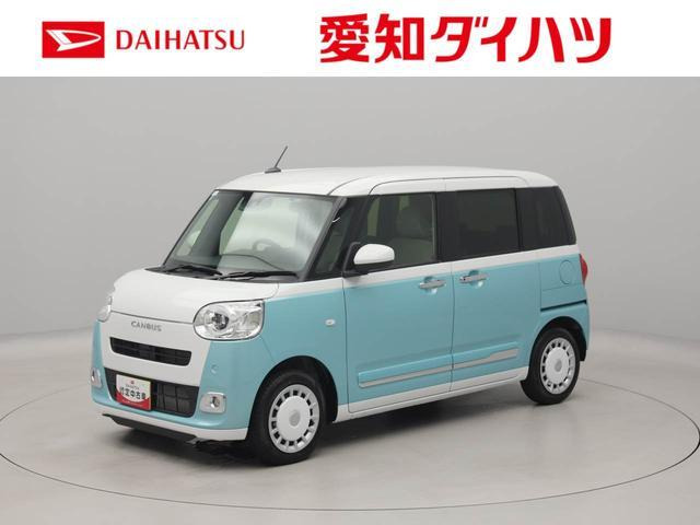 ムーヴキャンバス  ストライプス G