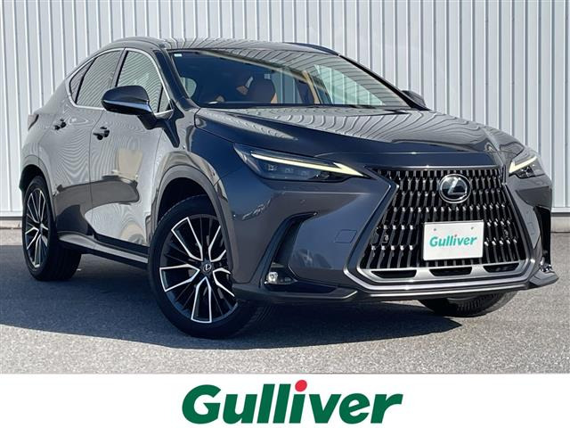 NX 250 バージョンL 本革シート サンルーフ