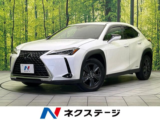 UX 250h ブラウン エディション