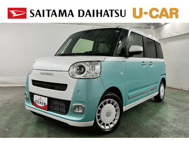 ムーヴキャンバス  ストライプス G