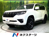 BIG-X11型ナビ 7人乗り サンルーフ バックカメラ 衝突軽減 禁煙