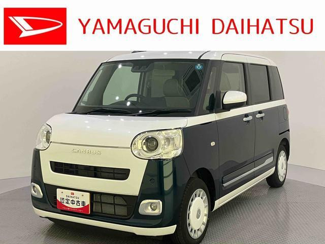 ムーヴキャンバス  ストライプス G