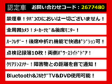 エルグランド 2.5 250ハイウェイスター メーカーナビ リアモニター 両自