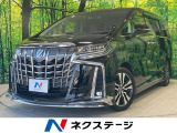 サンルーフ エアロ 10型ナビ 両側電動ドア 後席モニター バックカメラ