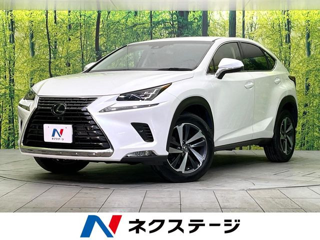 NX 200t Iパッケージ