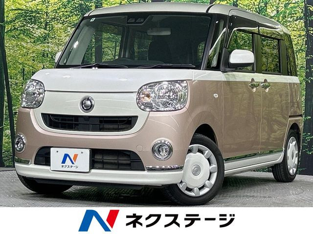 ムーヴキャンバス X リミテッド メイクアップ SAIII