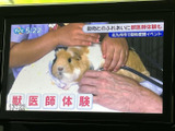 停車中にテレビや映像を楽しめます。休憩時間のお供に、エンターテイメント空間を提供します。