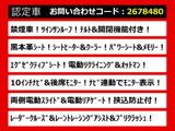 ヴェルファイア 2.5 Z Gエディション 10インチナビ リアモニター 黒革 SR