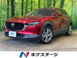 スマートブレーキサポート レーダークルーズ 禁煙車 パワーシート