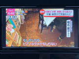 停車中には、地上デジタル放送をお楽しみいただけます。長距離ドライブの休憩時など、リラックスした時間をお過ごしください。エンターテイメント性も充実。
