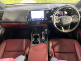 NX 250 