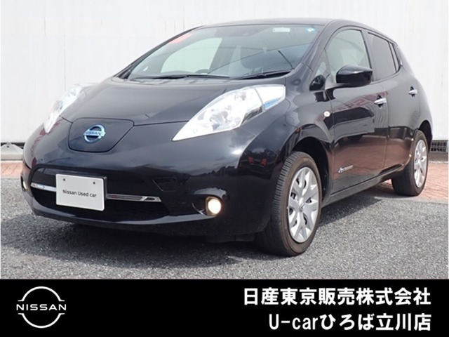 リーフ 30kWh X
