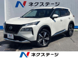 沖縄県内での販売・登録が条件※宮古島除く