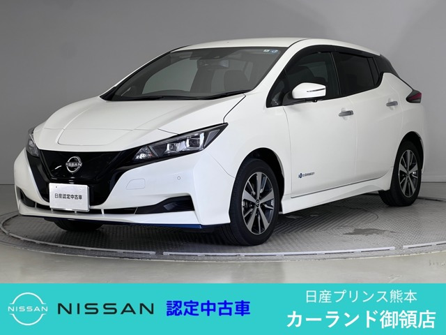 リーフ e+ X