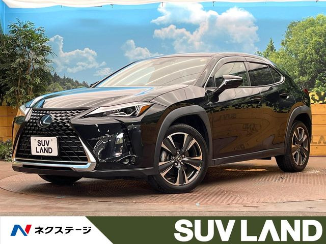 UX 200 バージョンC 