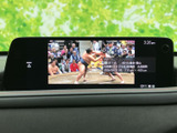 停車中に楽しめるTV機能。長距離ドライブの休憩時などに、リラックスした時間を過ごせます。