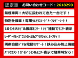 アルファード 2.5 S Aパッケージ タイプ ブラック 10インチナビ レーダークルーズ