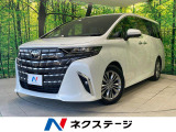 ツインムーンルーフ ユニバーサルステップ 両側電動ドア 後席モニター