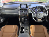 NX 300h Iパッケージ 
