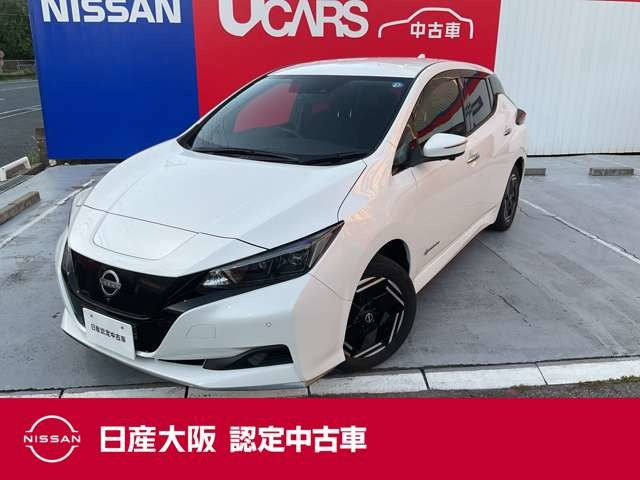 リーフ e+ X 