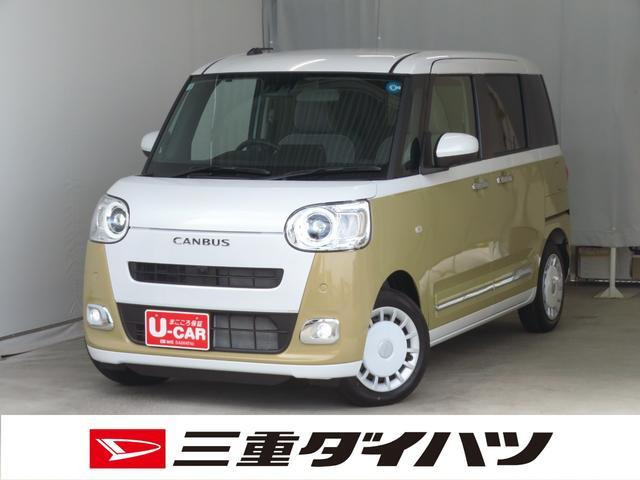 ムーヴキャンバス  ストライプス G