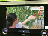 停車中には、地上デジタル放送をお楽しみいただけます。長距離移動の休憩時などに、リラックスした時間を提供します。ご家族や友人と共有も。