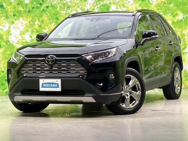 RAV4 2.0 G 4WD