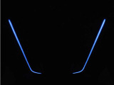 夜間に室内を照らしてくれるルームライトです♪♪