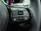 ◆アダプティブクルーズコントロール◆予め設定した車速内でクルマが自動的に加減速。前走車との適切な車間距離を維持しながら追従走行します。【LKAS】車線維持支援システムでステアリング操作を支援。