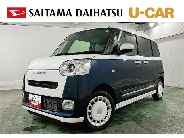 ムーヴキャンバス  ストライプス G