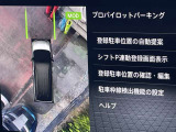 プロパイロットパーキング装備です!ハンドル操作とアクセル、ブレーキの操作も自動で行うんですよ!