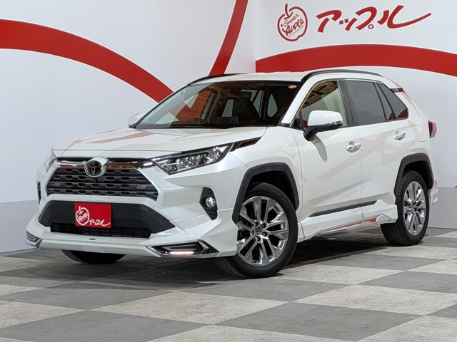 RAV4 2.0 G Zパッケージ 4WD