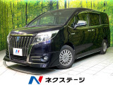 両側電動ドア アルパイン9インチナビ バックカメラ 寒冷地仕様