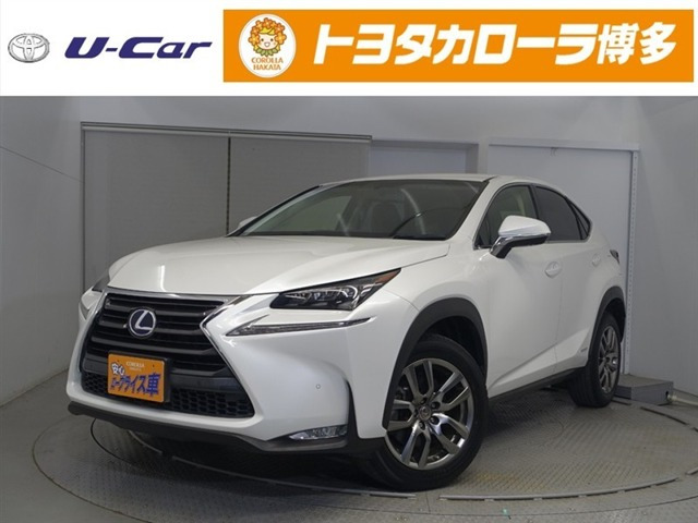 NX 300h Iパッケージ 