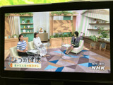 停車中に楽しめるTV機能。休憩時間などに映像コンテンツを視聴でき、長距離移動も快適に過ごせる便利な機能です。