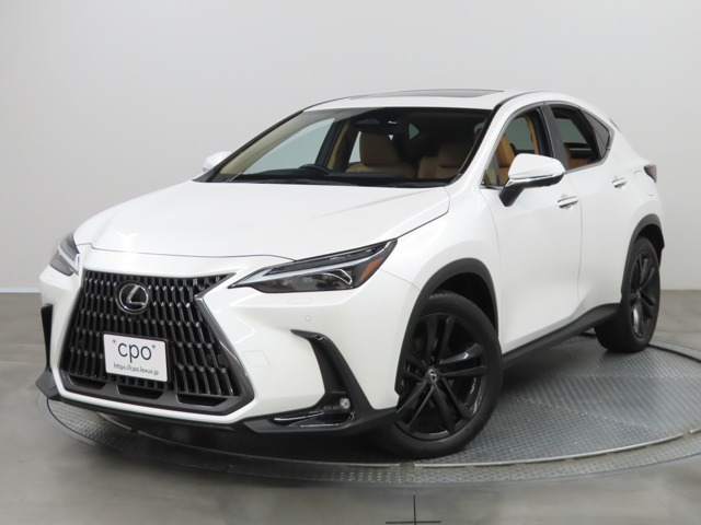 NX 250 バージョンL NX 250 バージョンL
