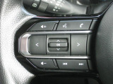 ハンドルにて音量調整や曲などの変更ができるので、運転中でも快適に操作ができます!