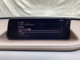 メーカーオプションTVチューナー付!