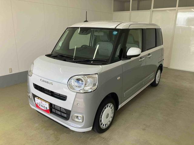 ムーヴキャンバス  ストライプス G