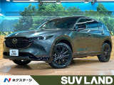 禁煙車 10型ナビ 全周囲カメラ BOSEサウンド レーダークルーズ
