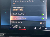 人気のアイコニックグロー!